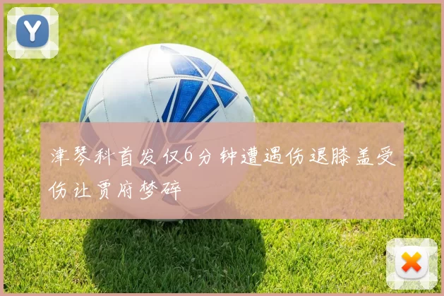 津琴科首发仅6分钟遭遇伤退膝盖受伤让贾府梦碎